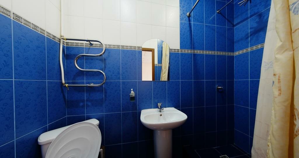 Гостиница Жар-Птица Омск-226