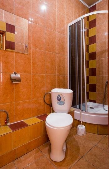 Гостиница Жар-Птица Омск-221