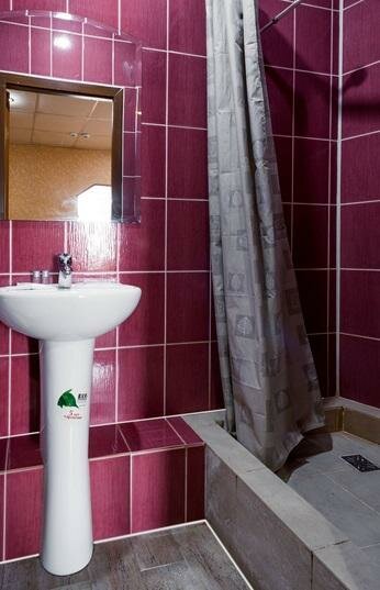 Гостиница Жар-Птица Омск-214