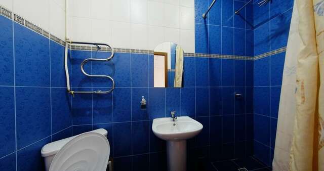 Гостиница Жар-Птица Омск-225