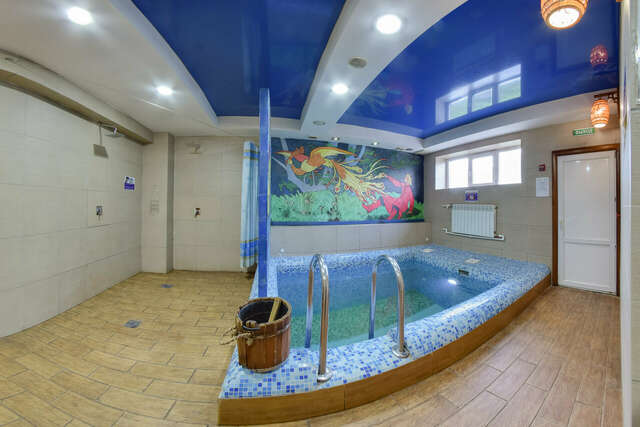 Гостиница Жар-Птица Омск-52