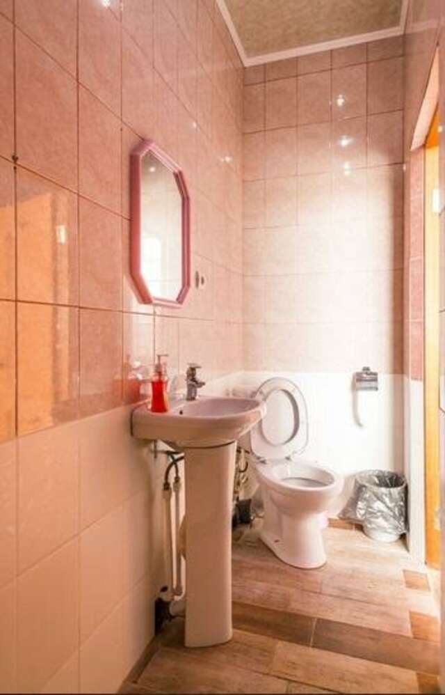 Гостиница Жар-Птица Омск-223