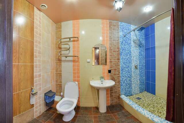 Гостиница Жар-Птица Омск-229