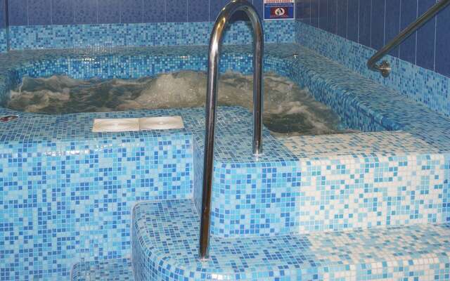 Гостиница Жар-Птица Омск-104