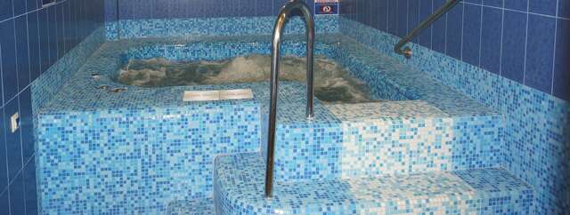 Гостиница Жар-Птица Омск-42